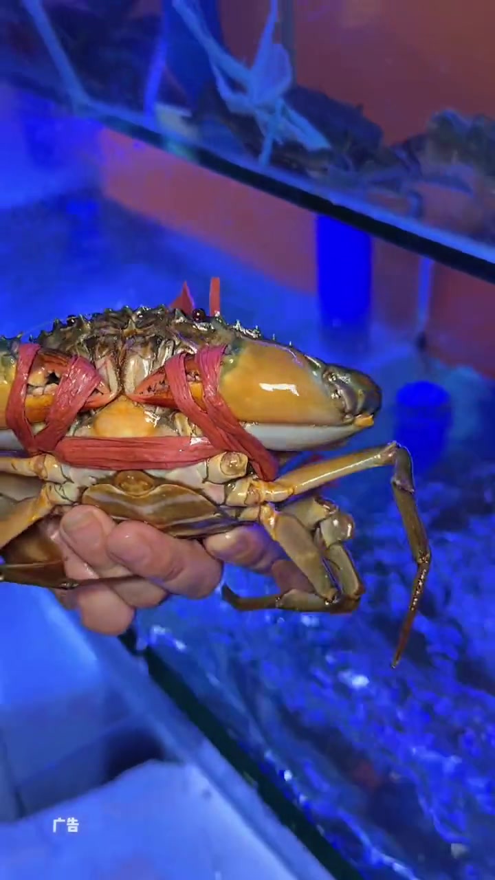 天啊到底是谁饿了想吃海鲜砂锅粥,我好喜欢这家 小有财气海鲜砂锅粥 海鲜粥 福州美食推荐 烟