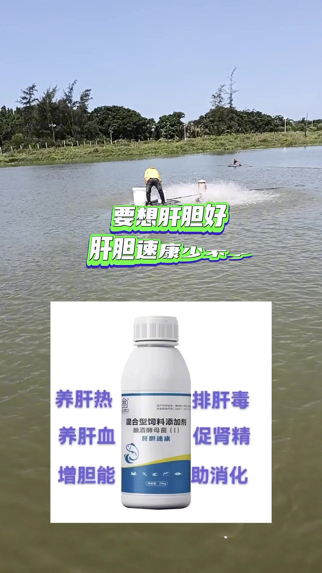 肝胆综合症的有效防治方案!!