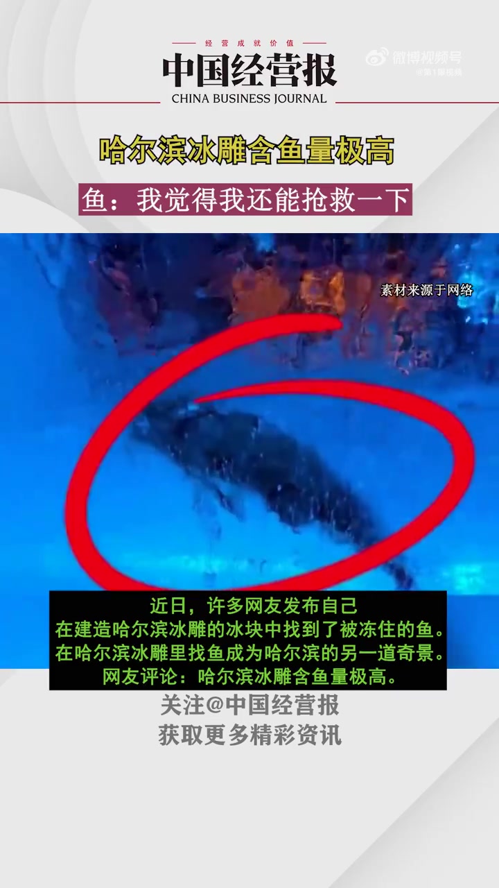 哈尔滨的冰雕里怎么啥都有「网友评论哈尔滨冰雕含鱼量极高,鱼:我觉得我还能抢救一下」哈尔滨的
