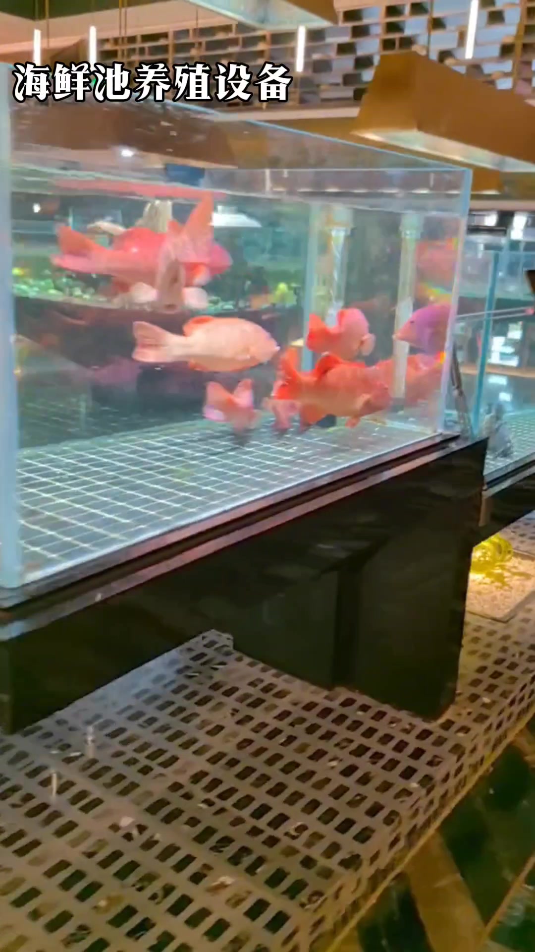海鲜池设计制作-酒楼海鲜池,生鲜超市鱼缸,海鲜鱼缸,鱼缸厂家