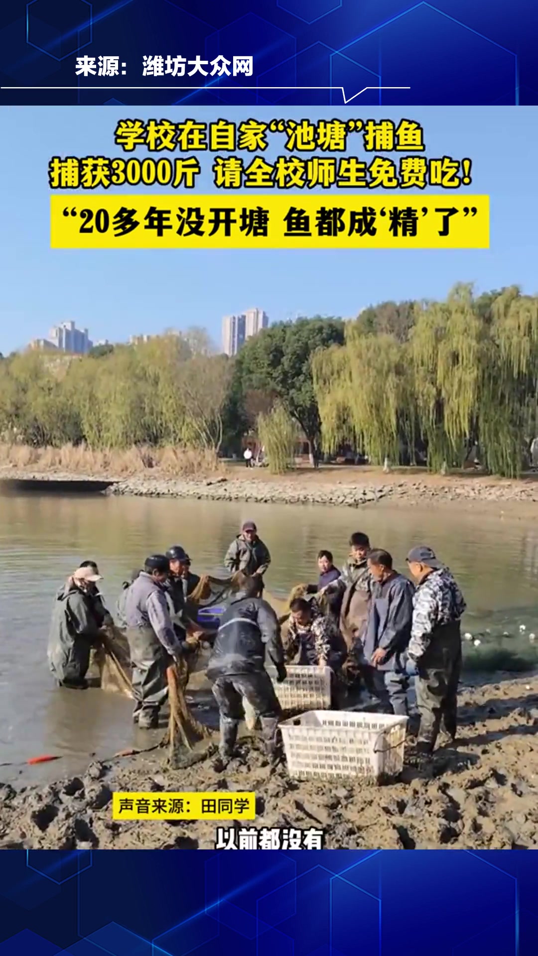学校在自家“池塘”捕鱼,捕获3000斤,请全校师生免费吃!