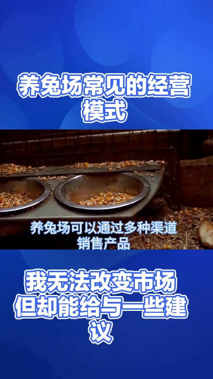 市场无法左右,管理需要手段 肉兔养殖 创作灵感 新农人计划2024 兔子