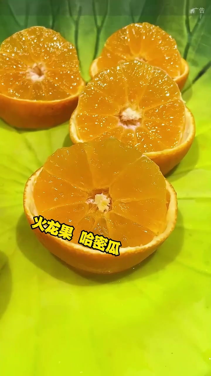 铁岭哥伦布三楼得鑫源火锅烤肉自助推出新品了!烤全羊随便吃,海鲜烧烤日料水果零食全都有!