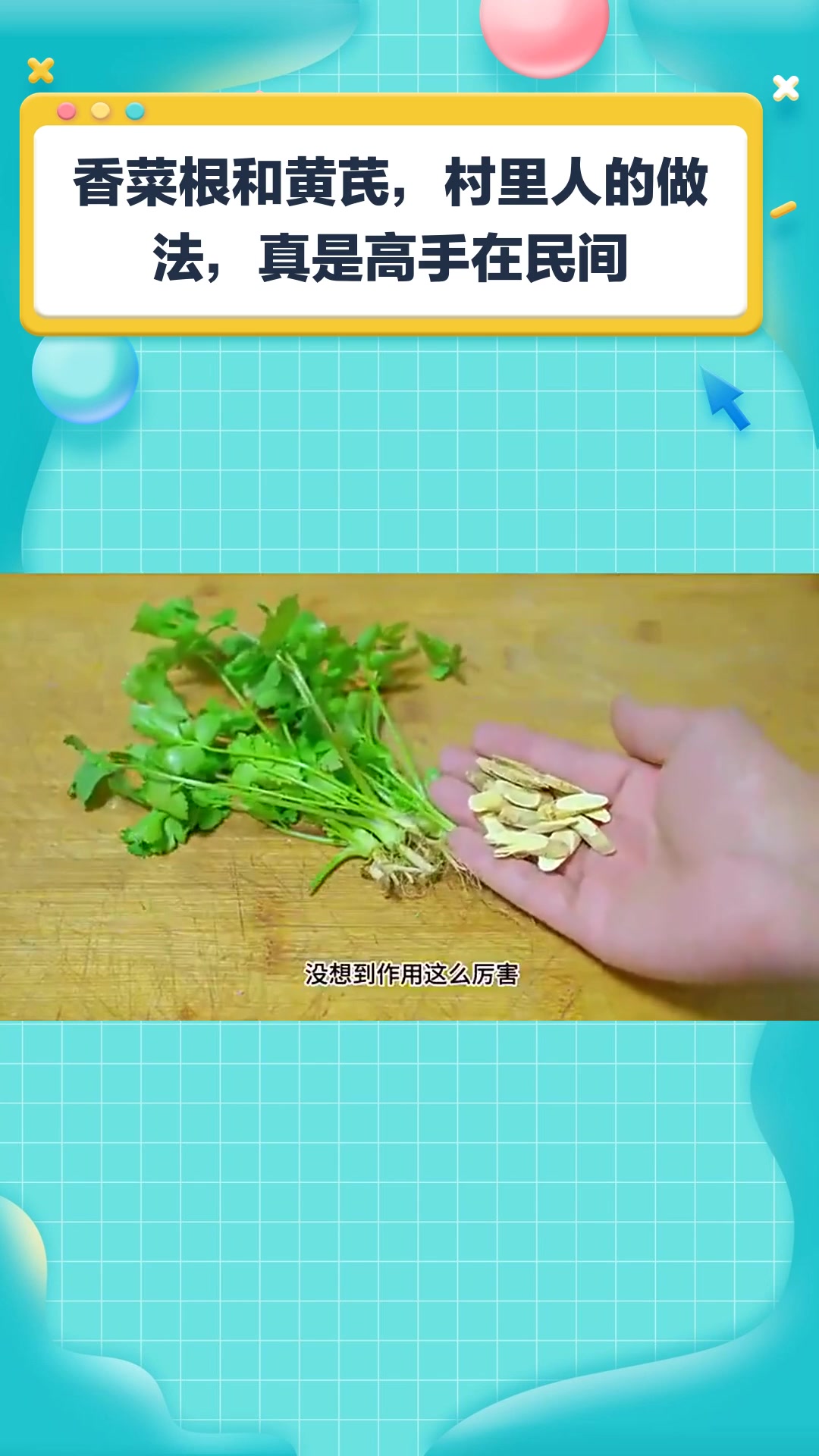 香菜根和黄芪,村里人的做法,真是高手在民间