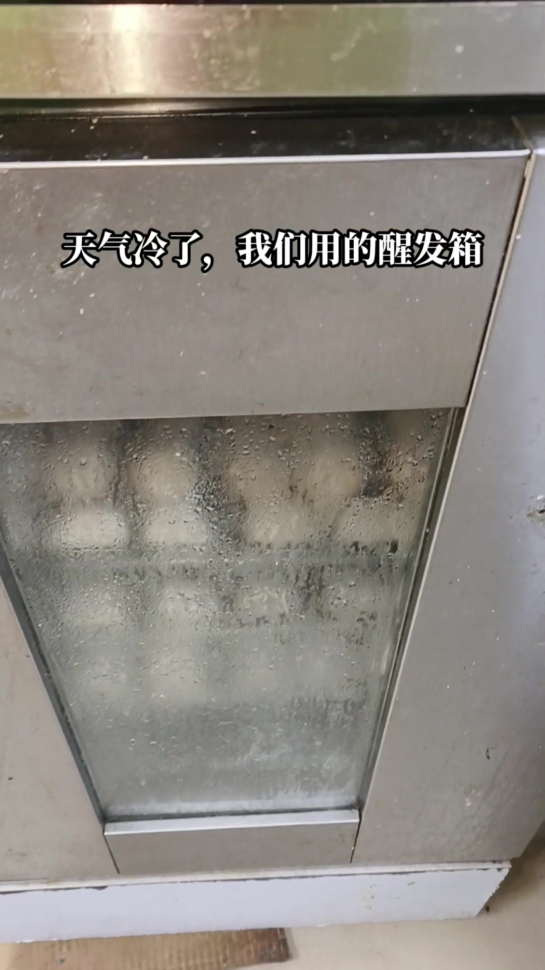 天气冷了,我们包子用醒发箱发面,省事很多