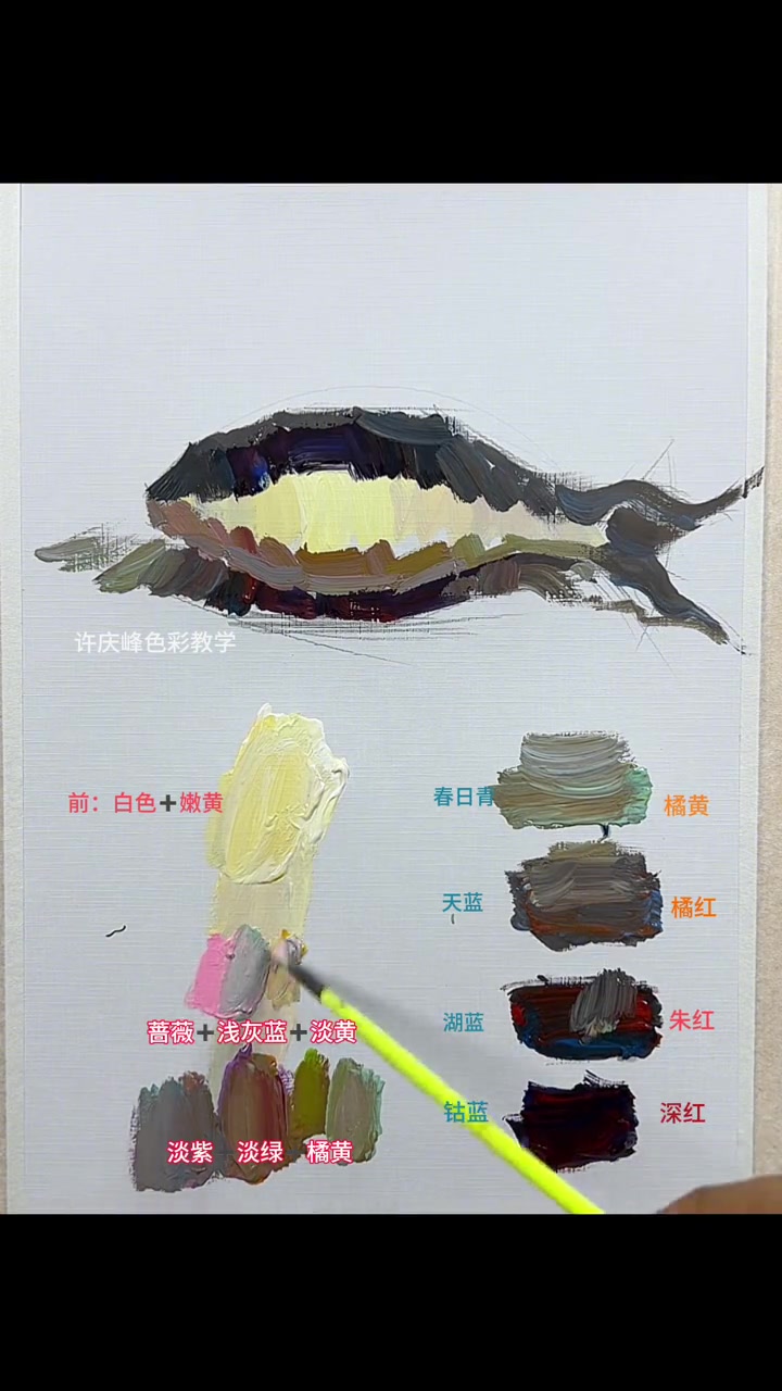 我花了十五万学到的调色方法水粉鱼的画法 美术生 热门 色彩静物 画画 美术老师