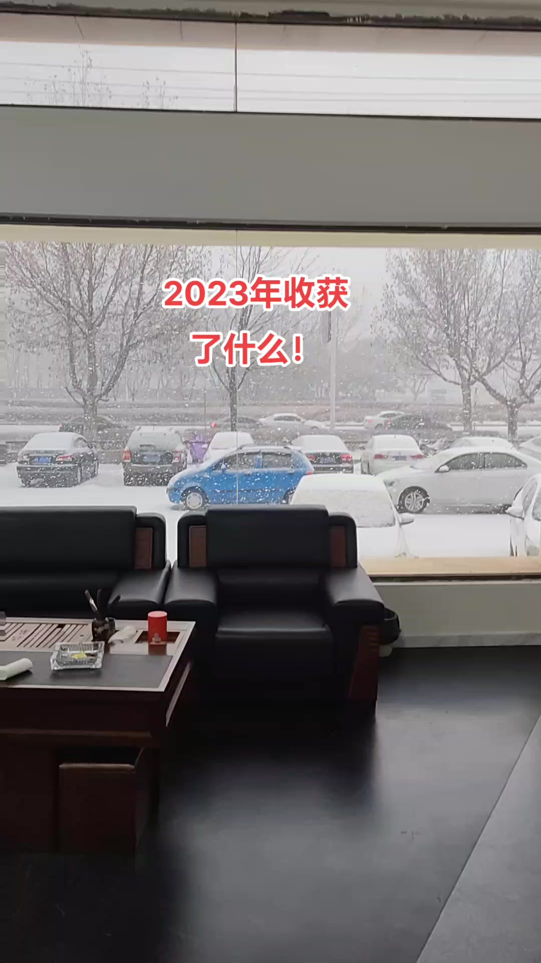 2023年我们收获了什么#迎接2024 #和2023好好道个别