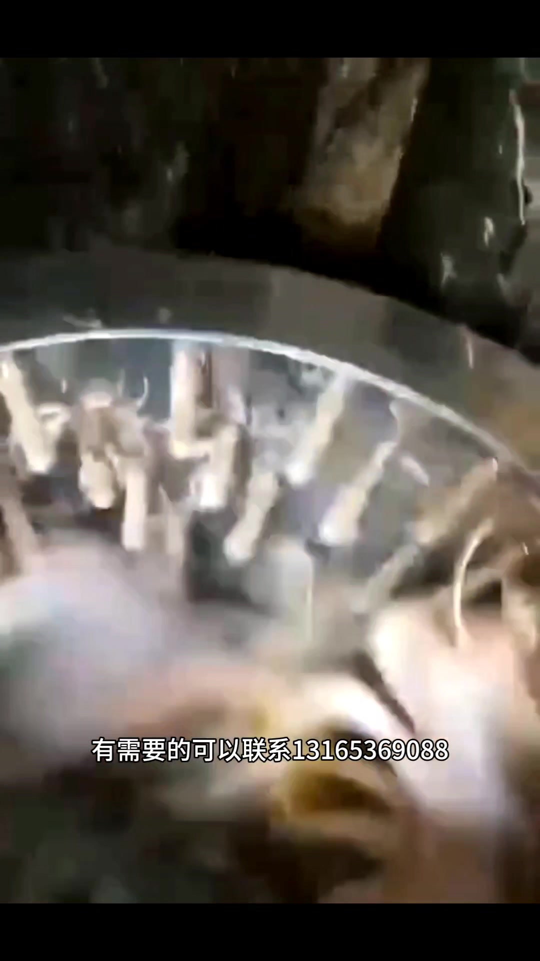 小型鸡鸭鹅脱毛机全自动家禽拔毛设备