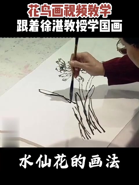 跟着徐湛教授学国画