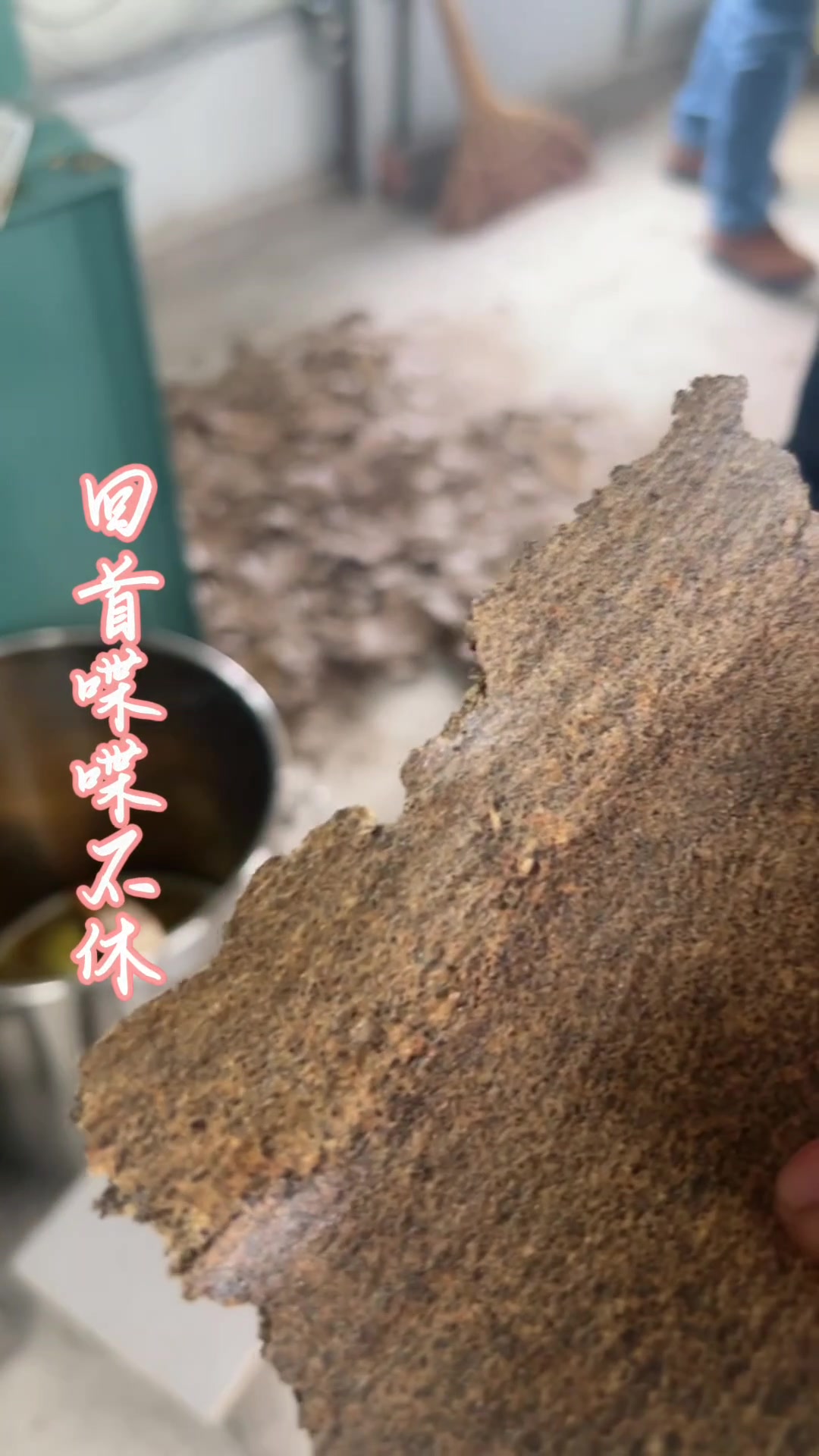 全自动125型多功能螺旋榨油机现场实拍压榨菜籽油 油菜籽榨油机