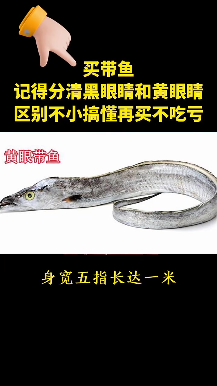 买带鱼,记得分清黑眼睛和黄眼睛,区别不小搞懂再买不吃亏