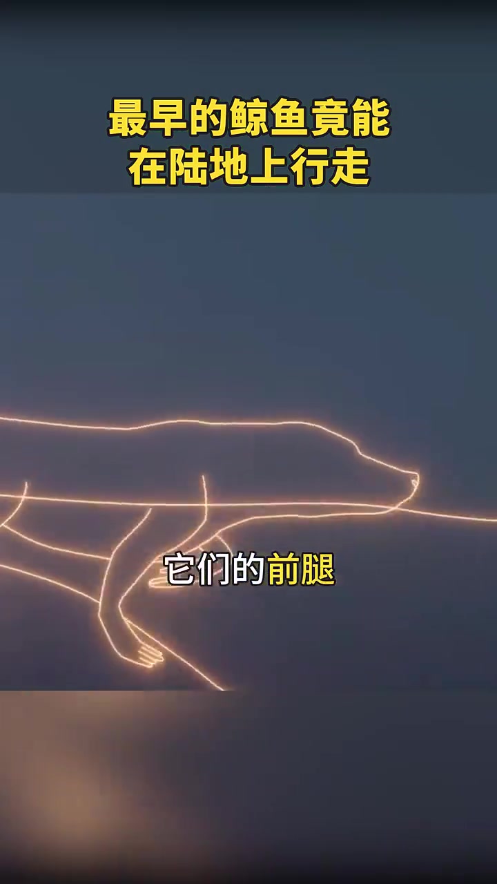 最早的鲸鱼竟能在陆地上行走