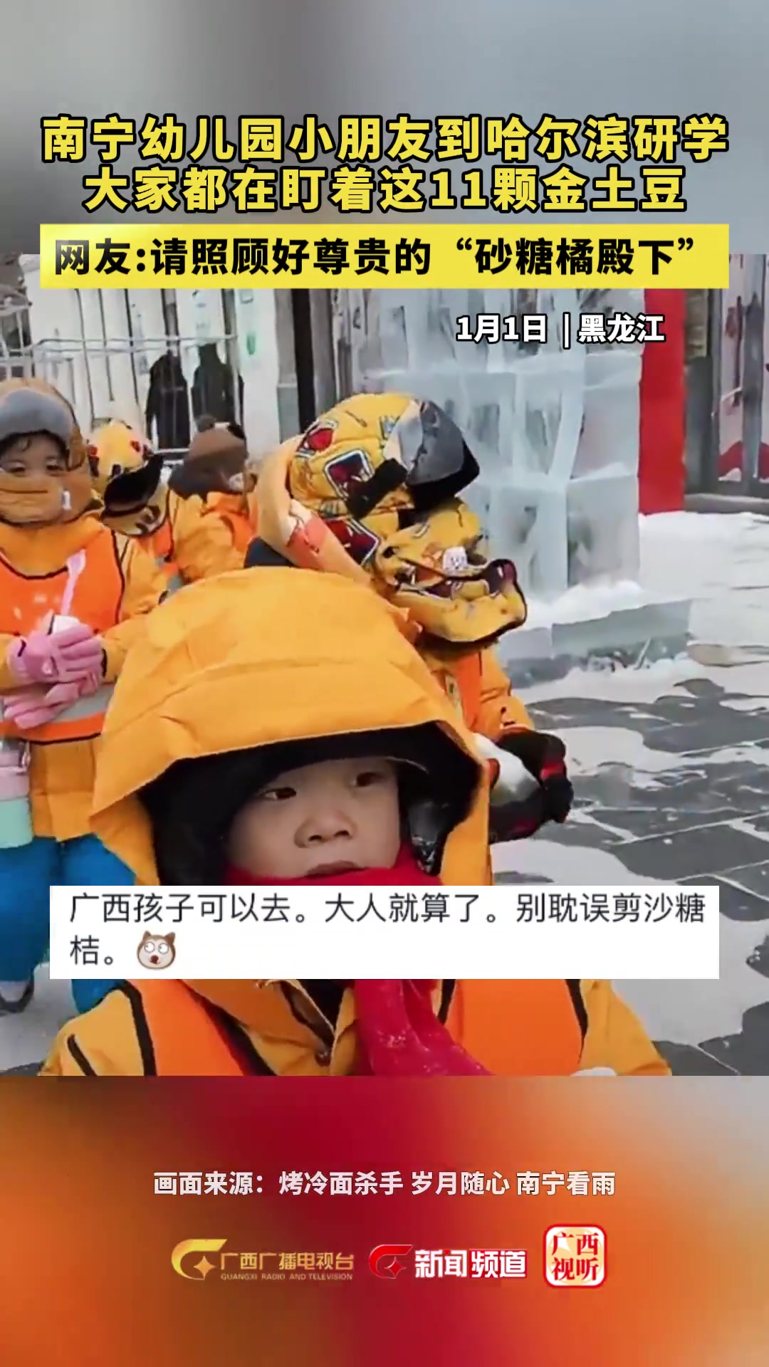 南宁幼儿园小朋友到哈尔滨研学 大家都在盯着这11颗金土豆 网友:请照顾好尊贵的“砂糖橘殿下