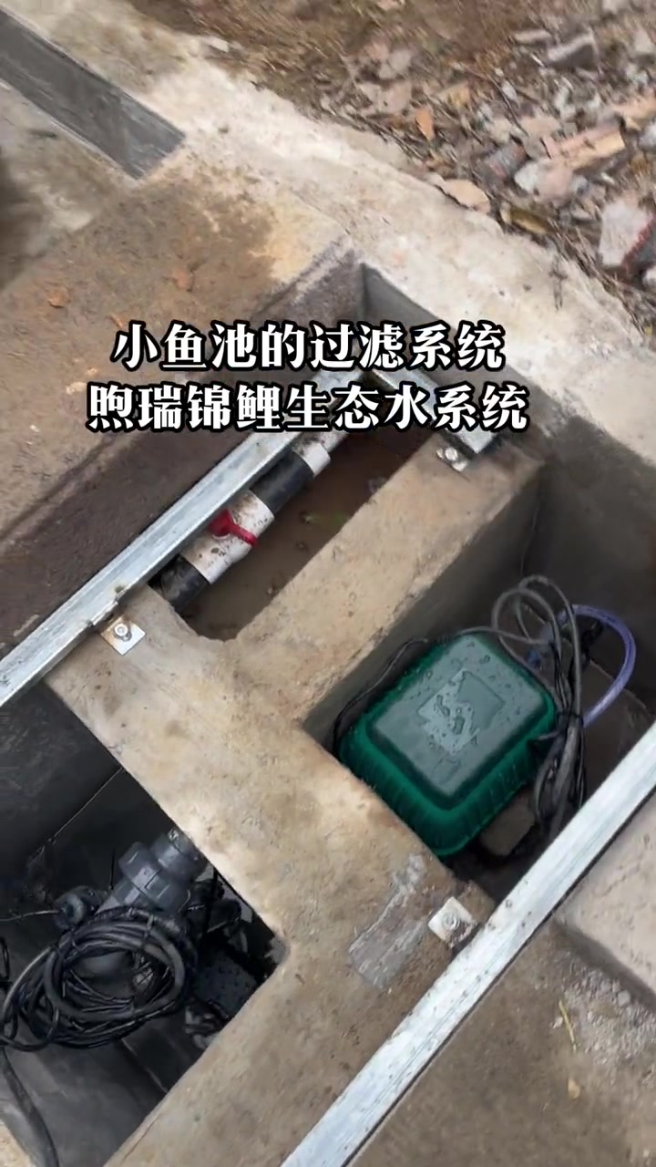 小鱼池的过滤系统 锦鲤鱼池 庭院鱼池 鱼池过滤 鱼池净化系统