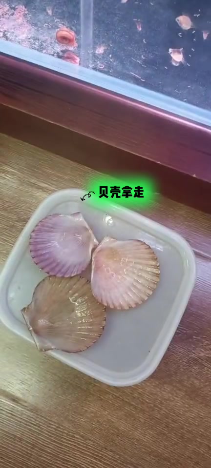 金波子甩尾后的操作过程