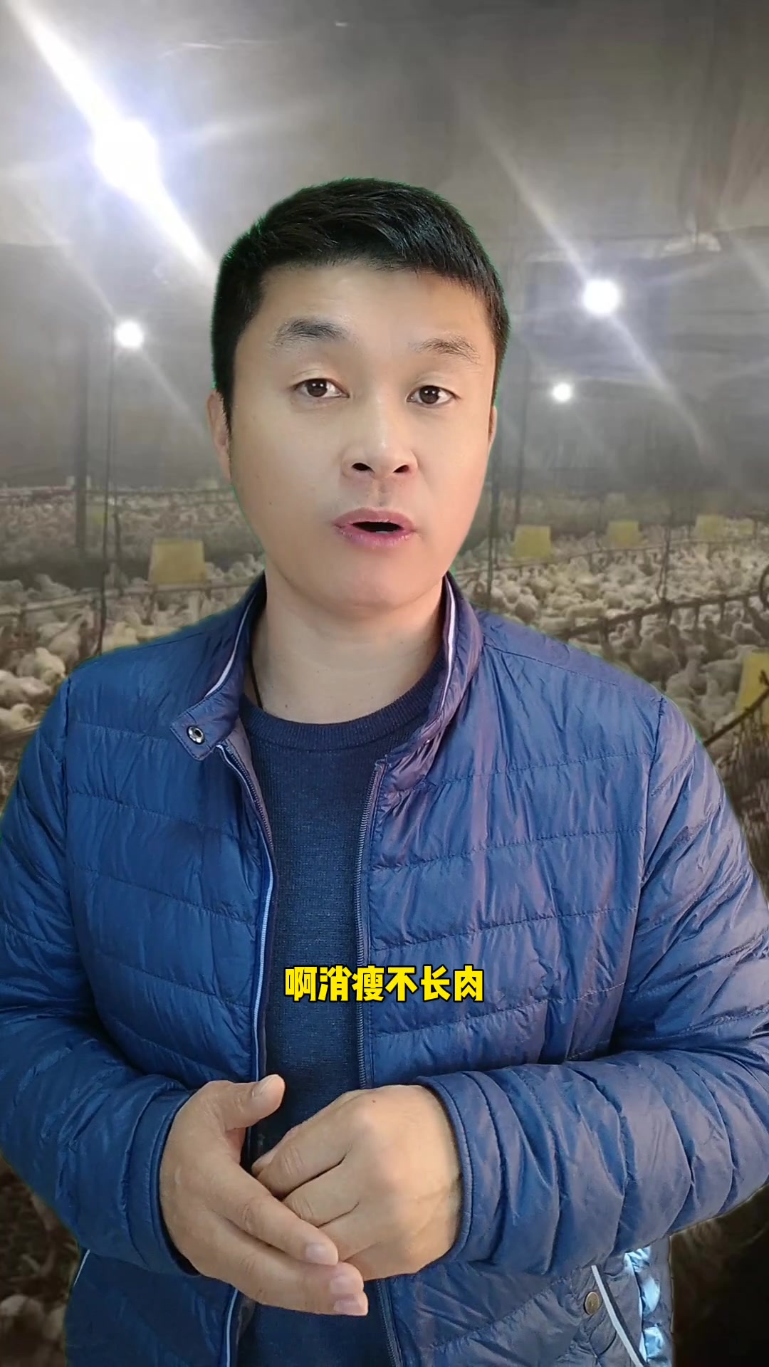 鸡苗十天后,出大小鸡不均匀,是什么问题?