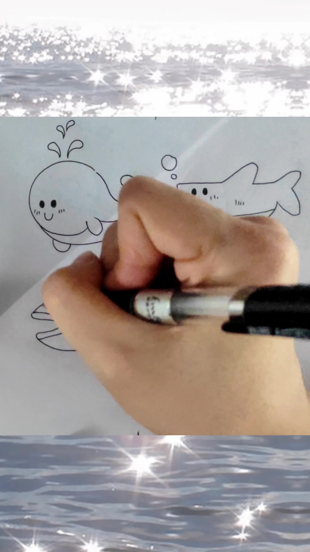 简笔画可爱海洋动物