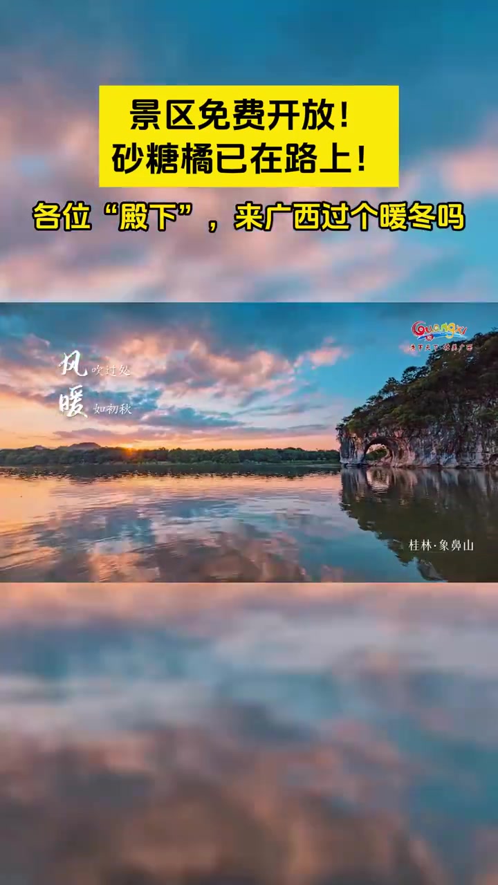 「尔滨啊你的砂糖橘沃柑请收货!广西开始花式回礼尔滨」“砂糖橘和武鸣沃柑已经在‘嘎嘎’剪了!
