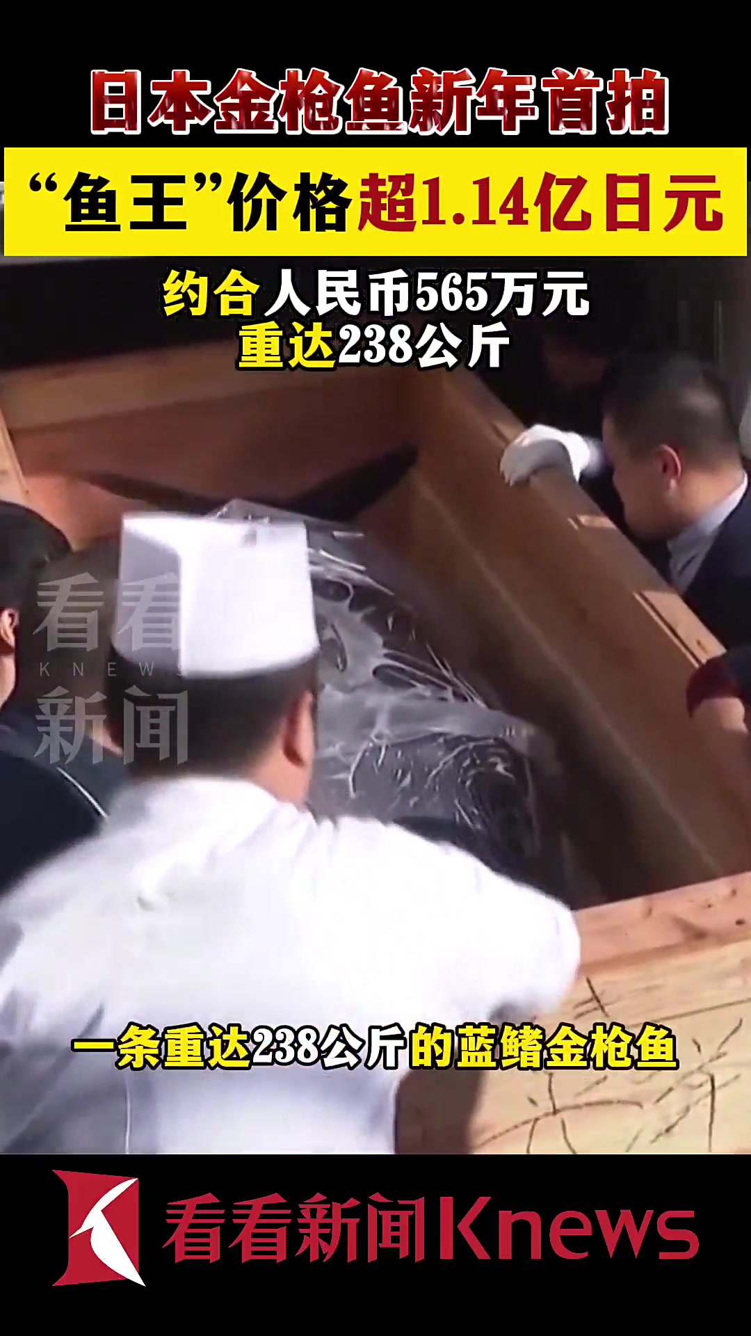 日本金枪鱼新年首拍 “鱼王”价格超1亿日元