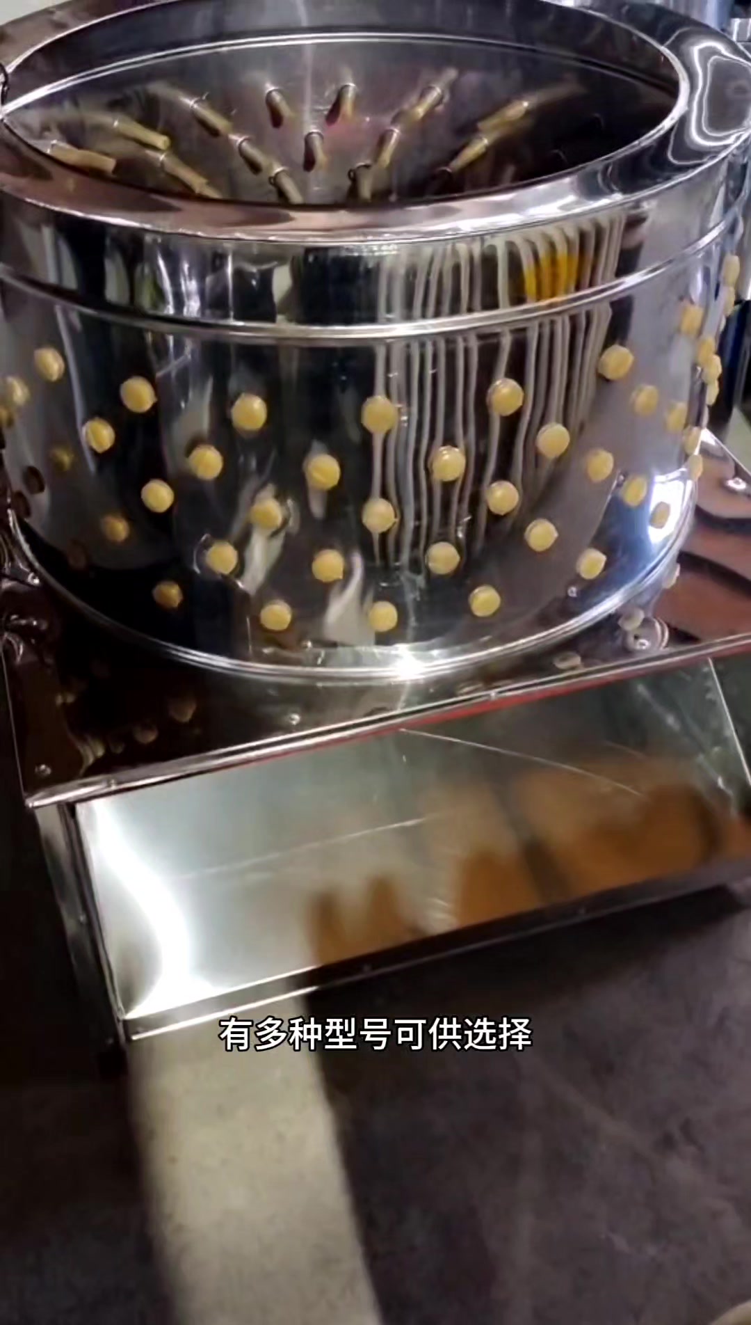 全自动鸡脱毛机小型脱毛机鸡鸭鹅脱毛设备