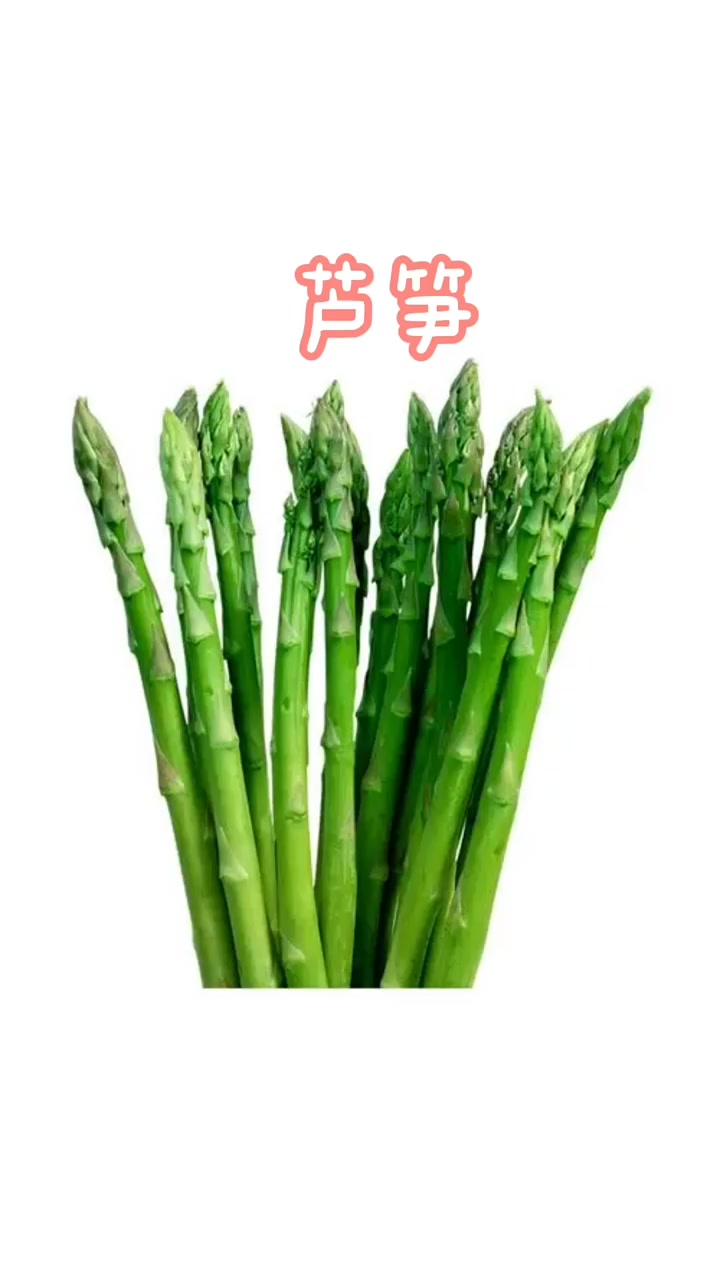 16种仓鼠可以吃的蔬菜