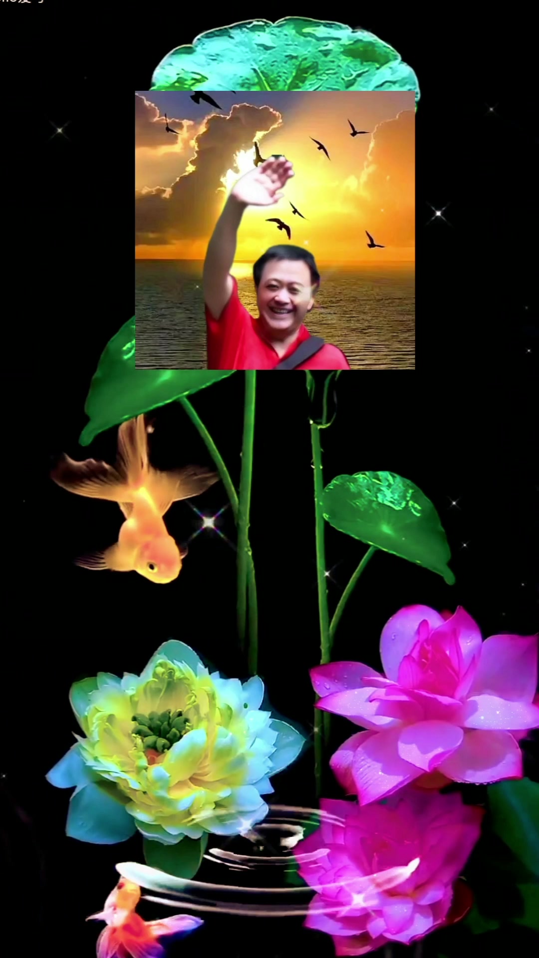 巴渝毛微视频/《荷花与金鱼》