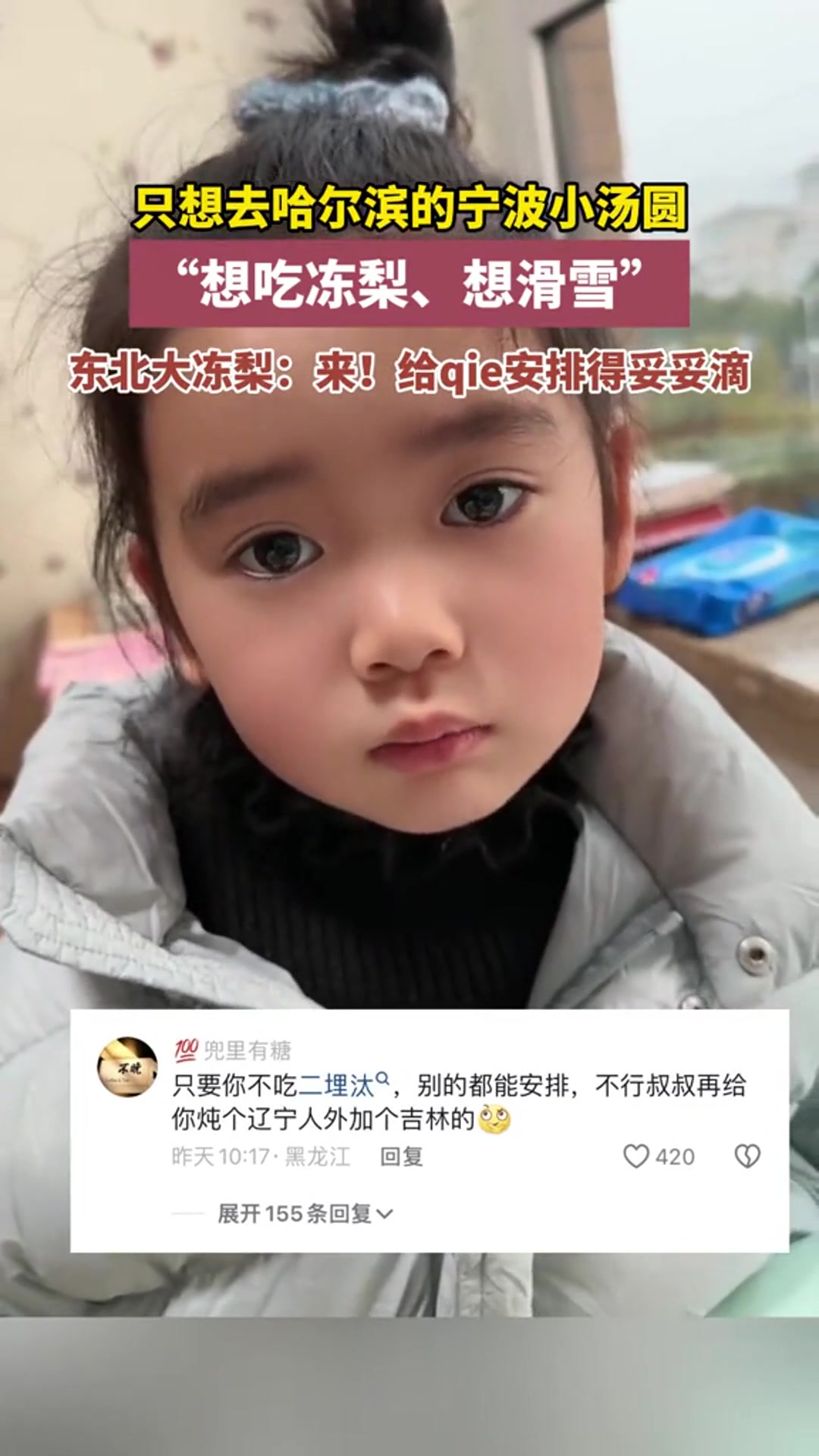 安排妥妥滴!想去哈尔滨的宁波“小汤圆”喊话东北“大冻梨”