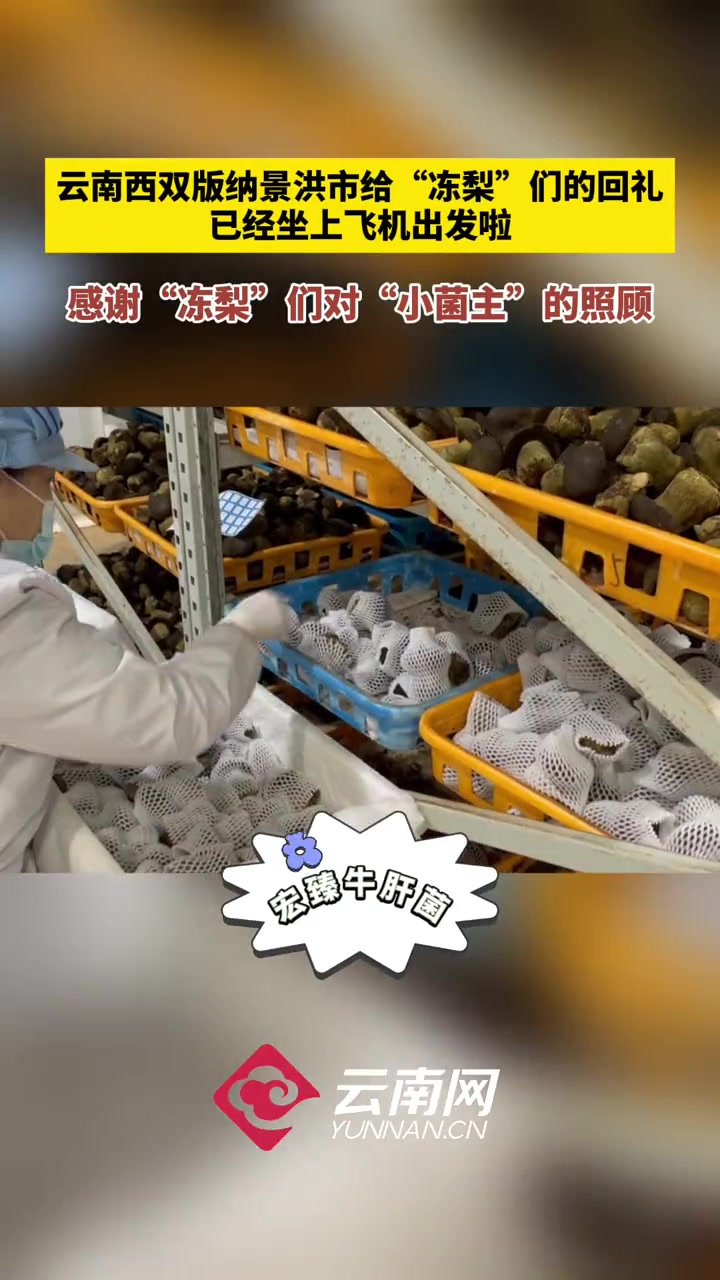 感谢“冻梨”们对“小菌主”的照顾,云南西双版纳景洪市给“冻梨”们的回礼,已经坐上飞机出发啦