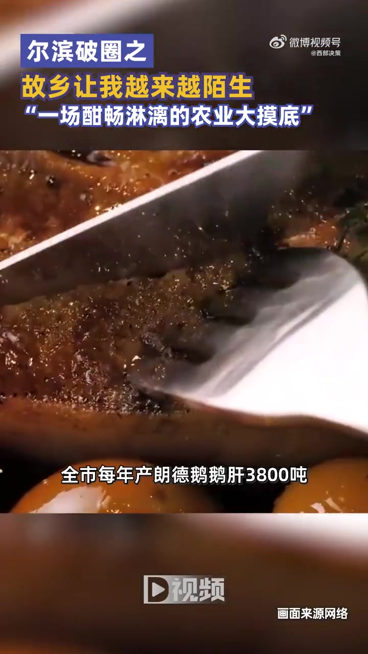 「尔滨破圈之故乡让我越来越陌生:这真是一场酣畅淋漓的农业大摸底」近日一场“南北回礼”拉开帷