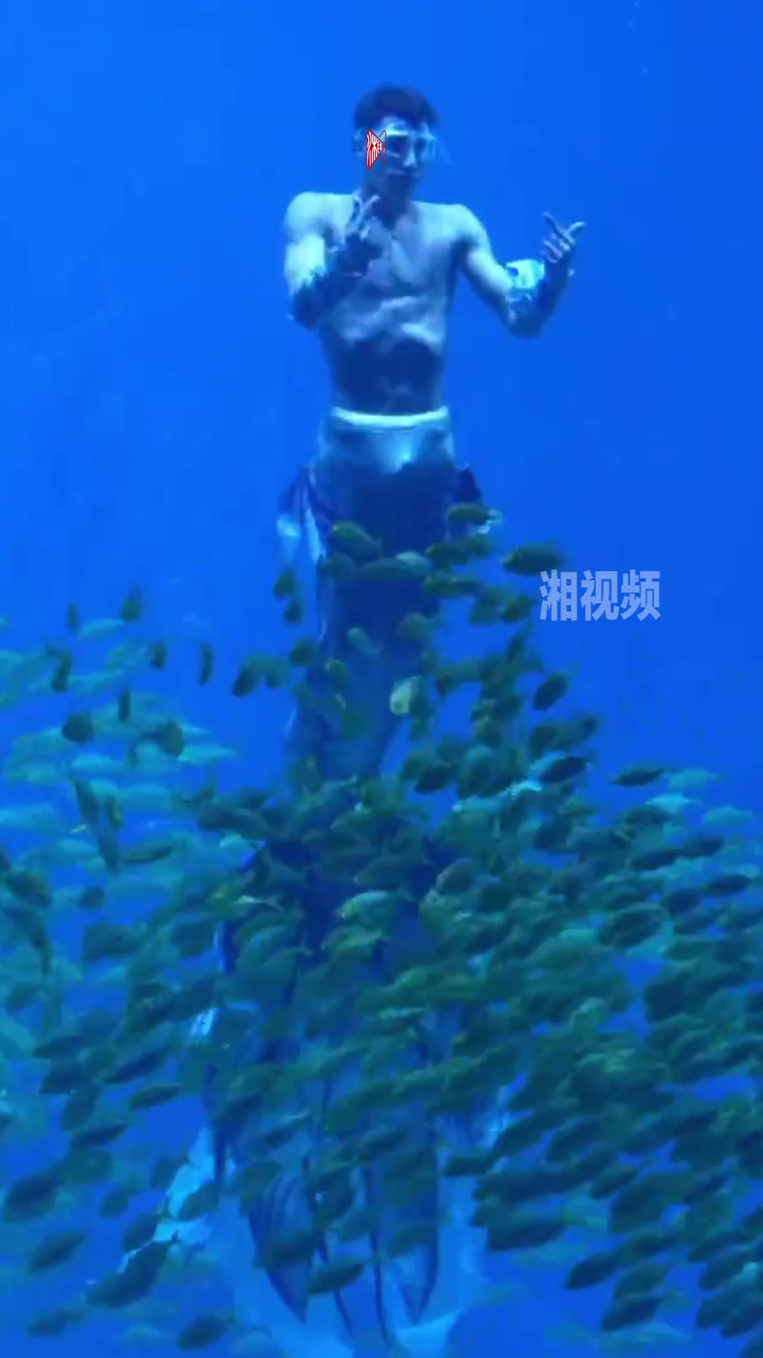 揭秘爆火的“男美人鱼”:外籍花样游泳运动员,兼具力量与美感