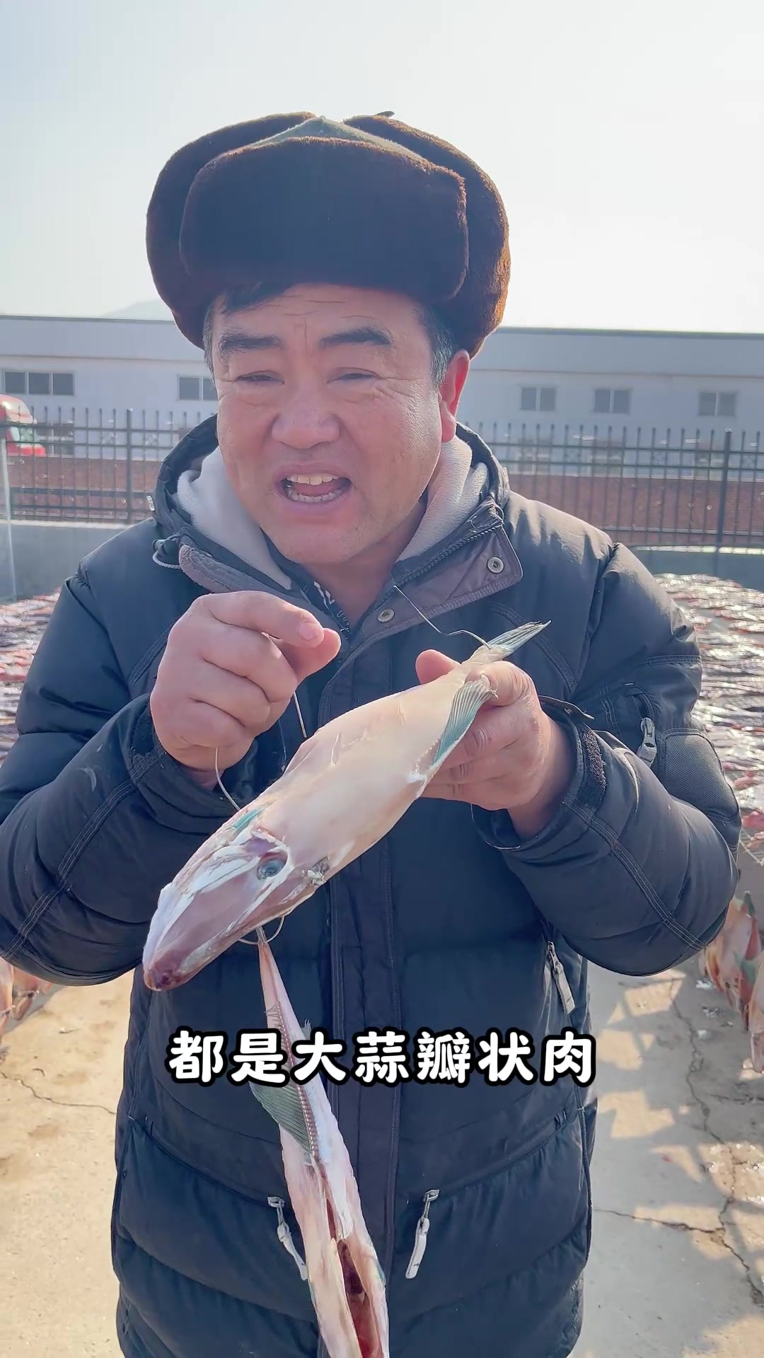 很多朋友问老海扒皮狼这条鱼