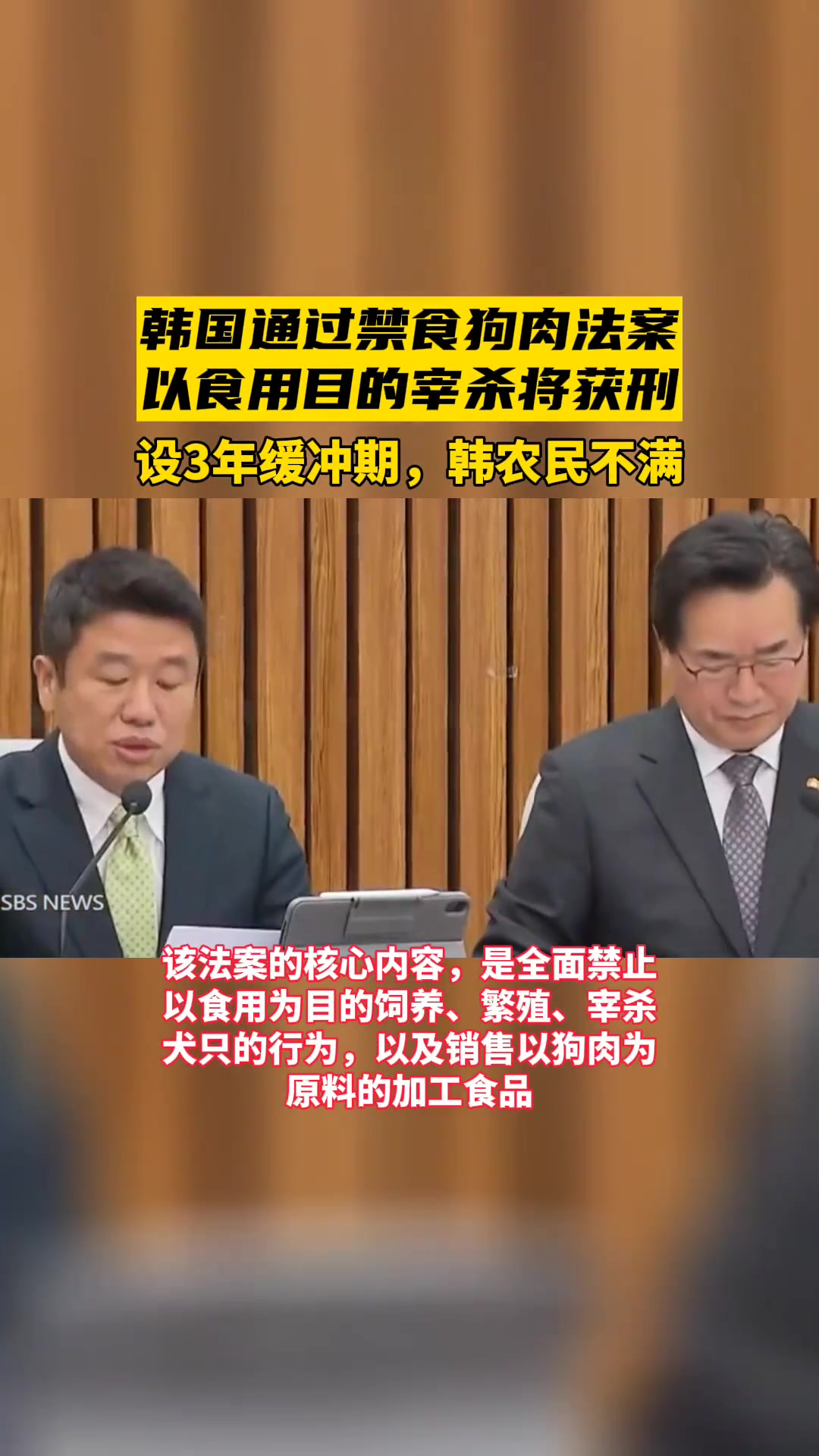 韩国通过禁食狗肉法案:以食用目的宰杀将获刑,设3年缓冲期