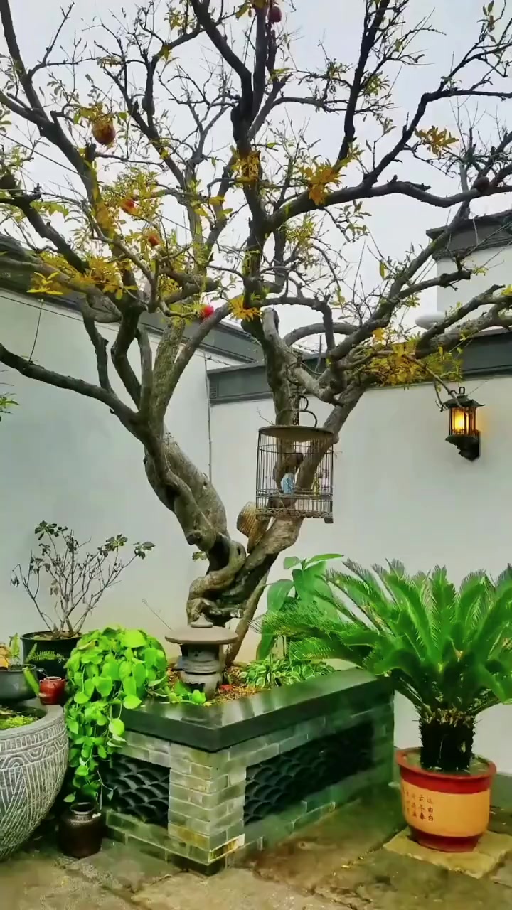 农村自建房仿古徽派小庭院