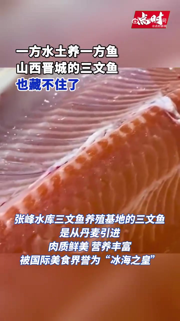 「一方水土养一方鱼 山西晋城的三文鱼也藏不住了」没想到吧?山西除了我们熟知的陈醋,竟然也产