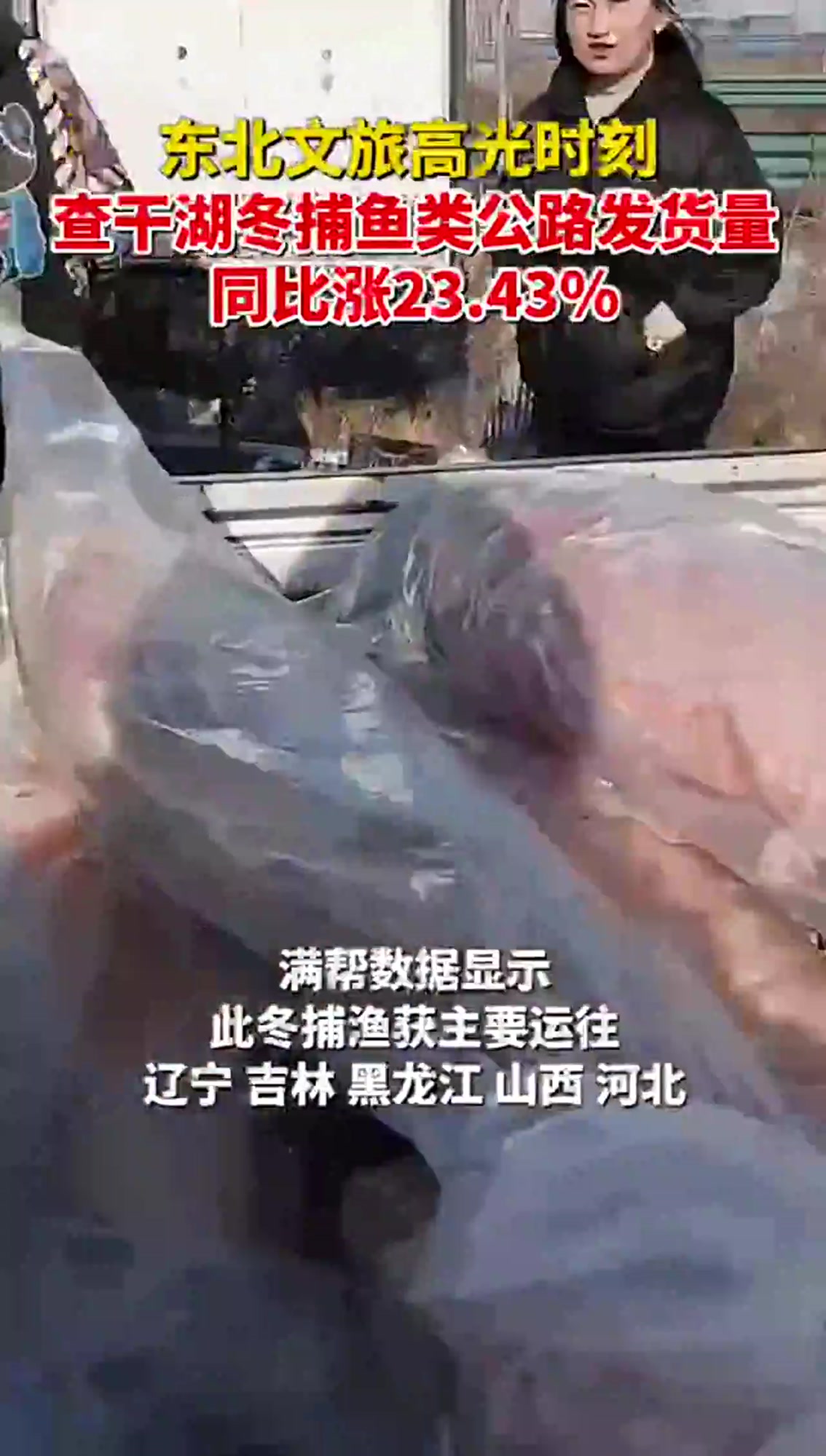 东北火了才发现 河北人爱吃那儿的野生大鱼