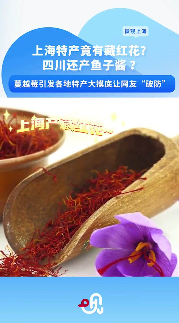 「上海特产藏红花,崇明岛有全国最大的藏红花生产基地」随着哈尔滨盛产蔓越莓让人大呼吃惊,越来