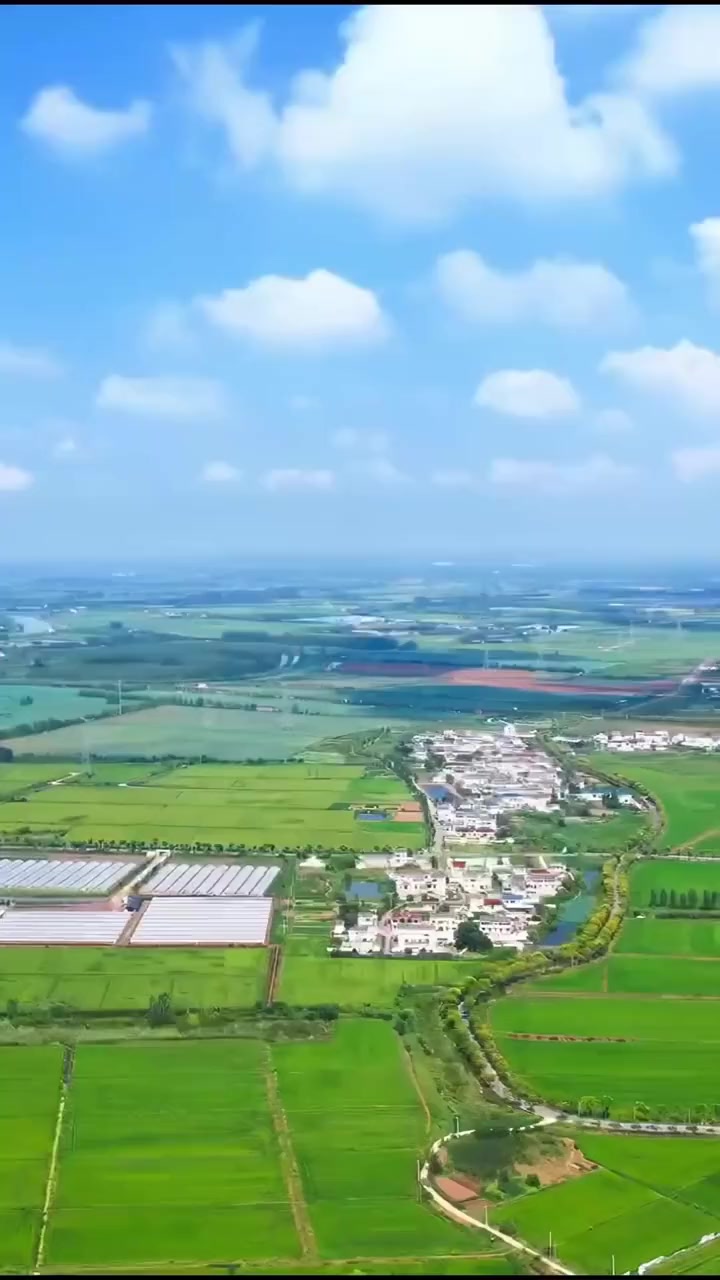 项城市丁集镇关庄村是豫东南的一个普通小村庄,长年以农业种植为主,经济结构单一。第一书记秦科