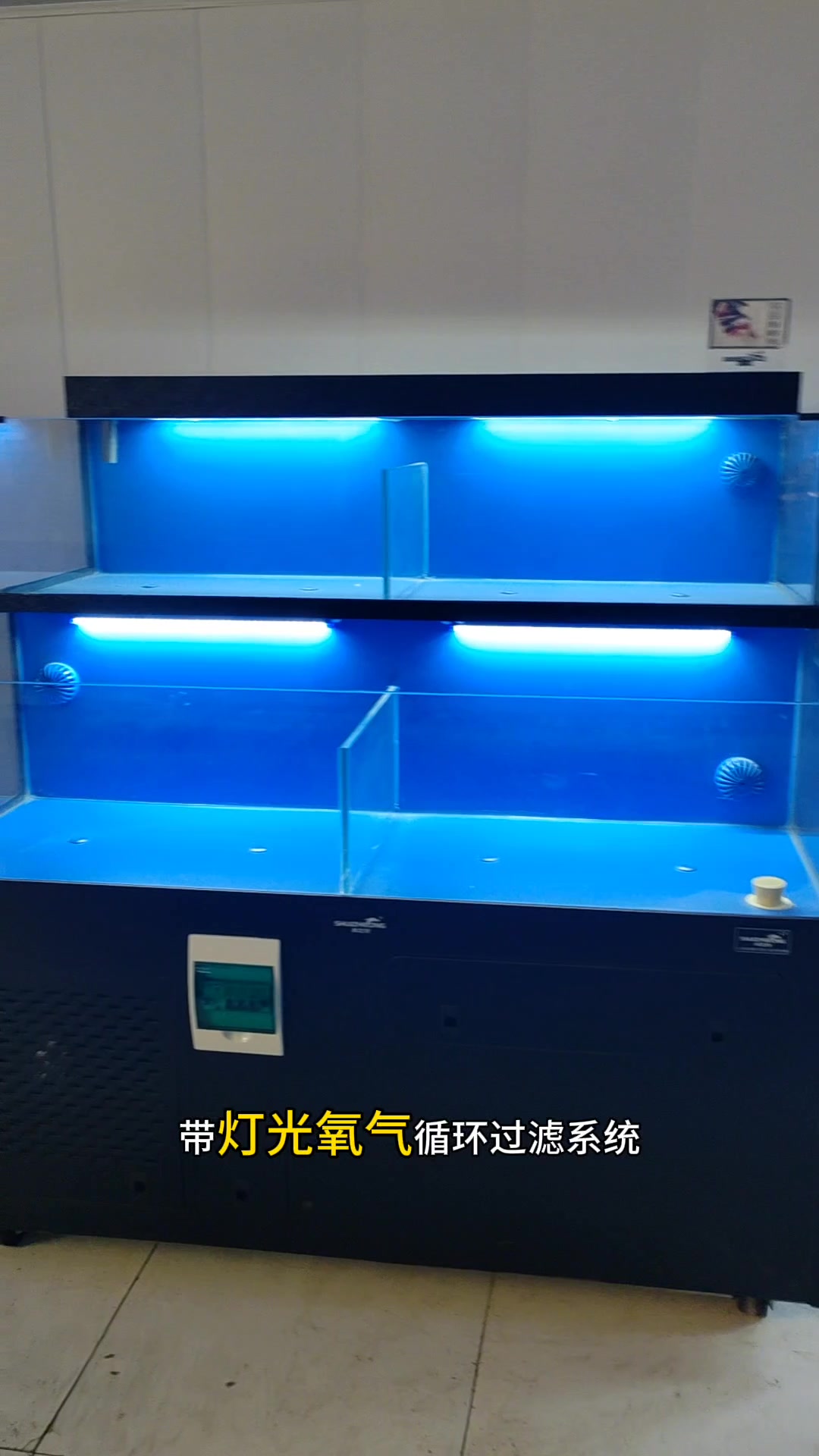 移动海鲜池制作-超市海鲜池,海鲜鱼缸,饭店海鲜池,鱼池制作