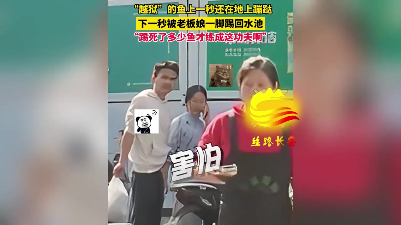 鱼上一秒还在蹦跶,被老板娘踢回水池,踢了多少鱼才练成这功夫