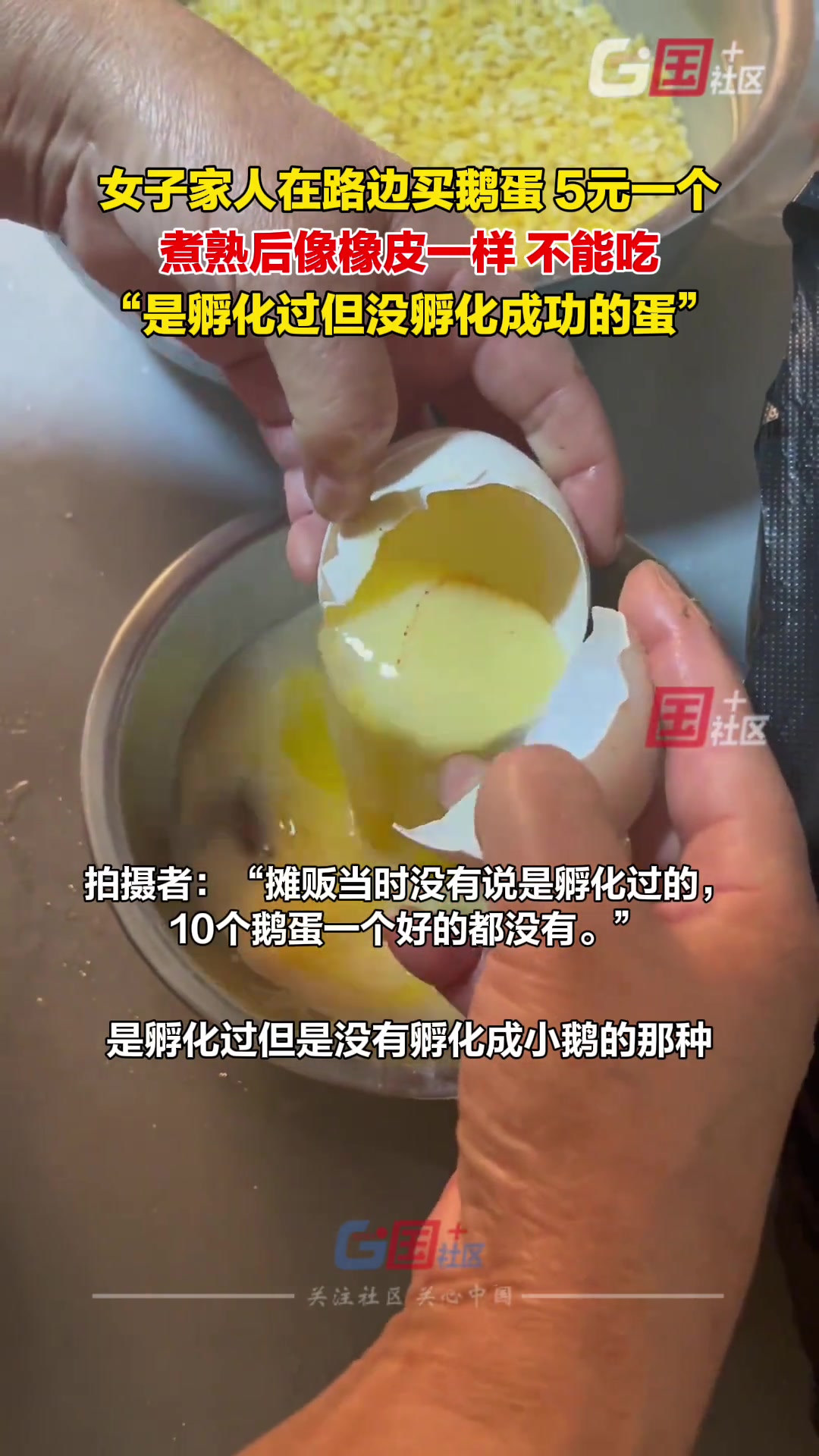 1月13日(采访时间),辽宁丹东。女子家人在路边买的5元一个的鹅蛋,煮熟后像橡皮一样,不能