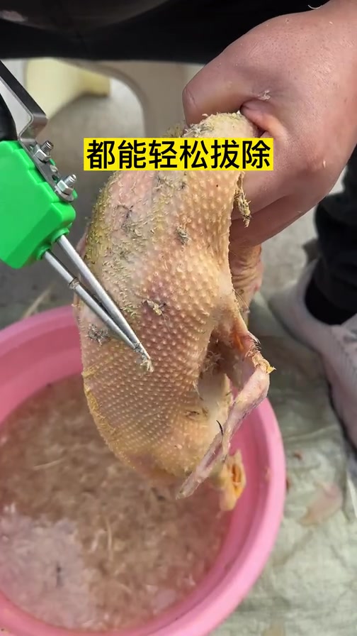 马上过年了杀鸡鸭鹅拔毛费事可以看下这款拔毛机