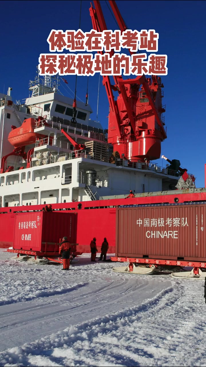 哈尔滨极地公园淘学企鹅馆7月盛大启幕!汇聚4种珍稀南极企鹅,不出家门体验极地科考。多种玩法