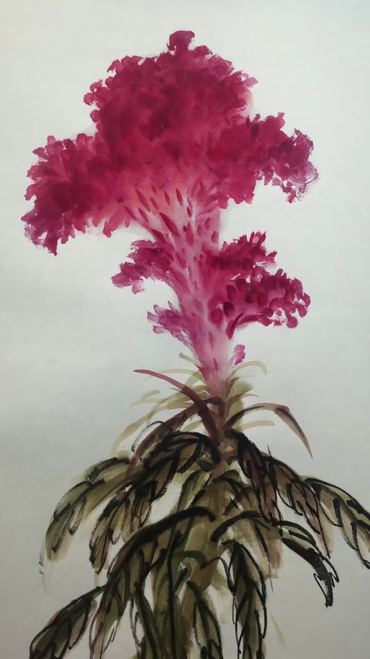 学画鸡冠花