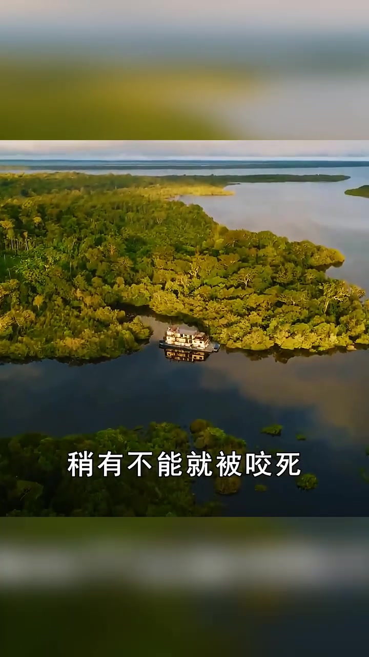 2000元一斤的忘不了鱼,连鱼鳞都能吃,为什么这么贵?