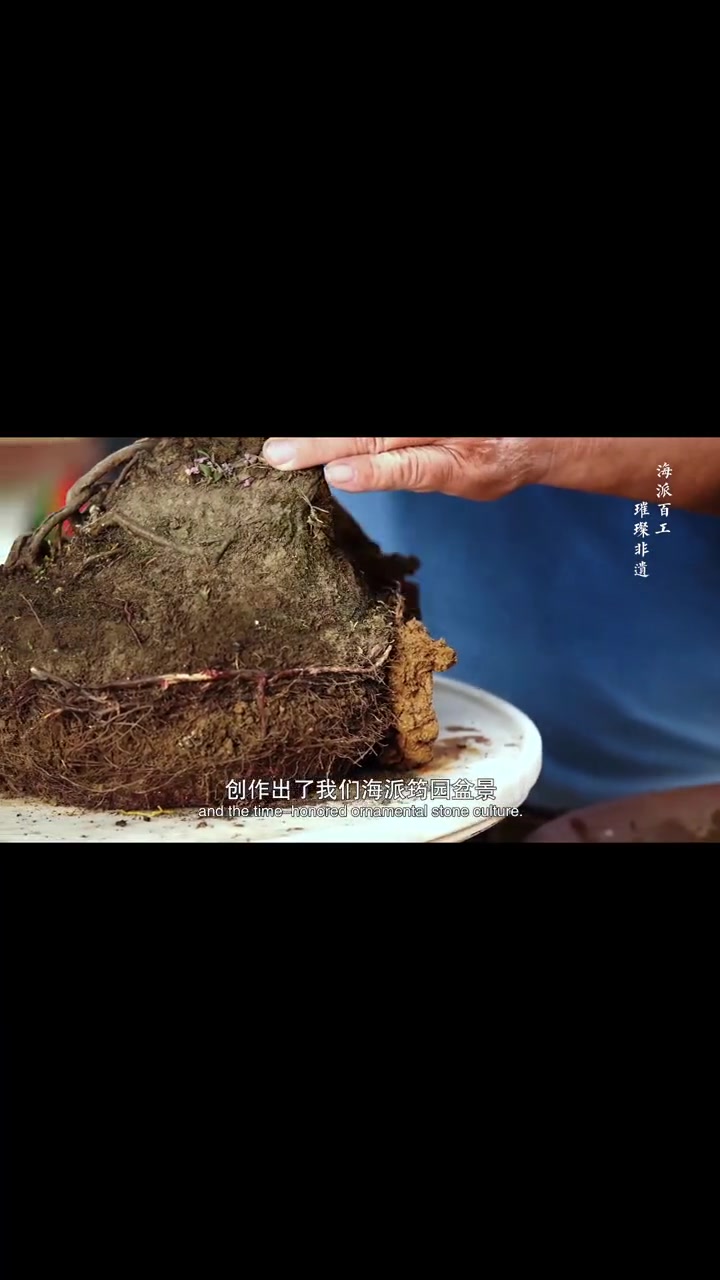 “虽由人作,宛若天开”,海派盆景技艺历经400多年发展,集众家之所长,在学习和研究我国传统