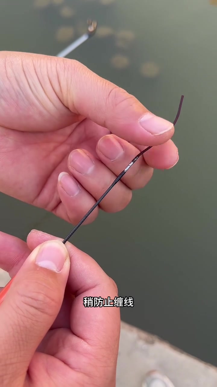 最贴心的鱼竿厂家海龙王,格小格代言,竿子真心不错,有三种调性可选
