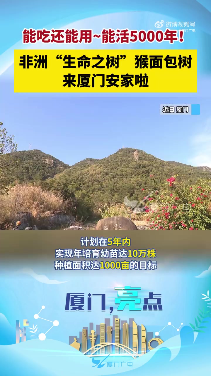 「能吃还能用~能活5000年!非洲“生命之树”猴面包树来厦门安家啦!」近日,一批猴面包树在