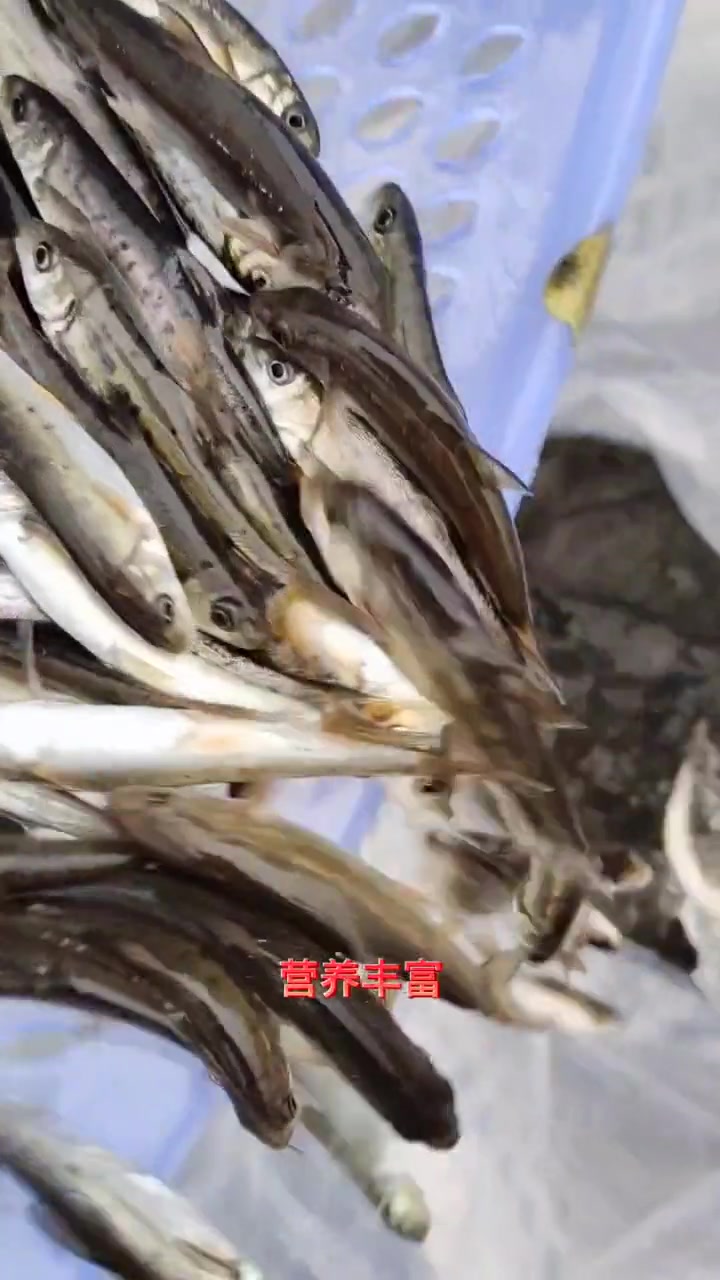 裂腹鱼有很多种叫法,在四川它叫雅鱼,齐口裂腹鱼,还有一种国二重口裂腹鱼。细鳞鱼,洋鱼。还有