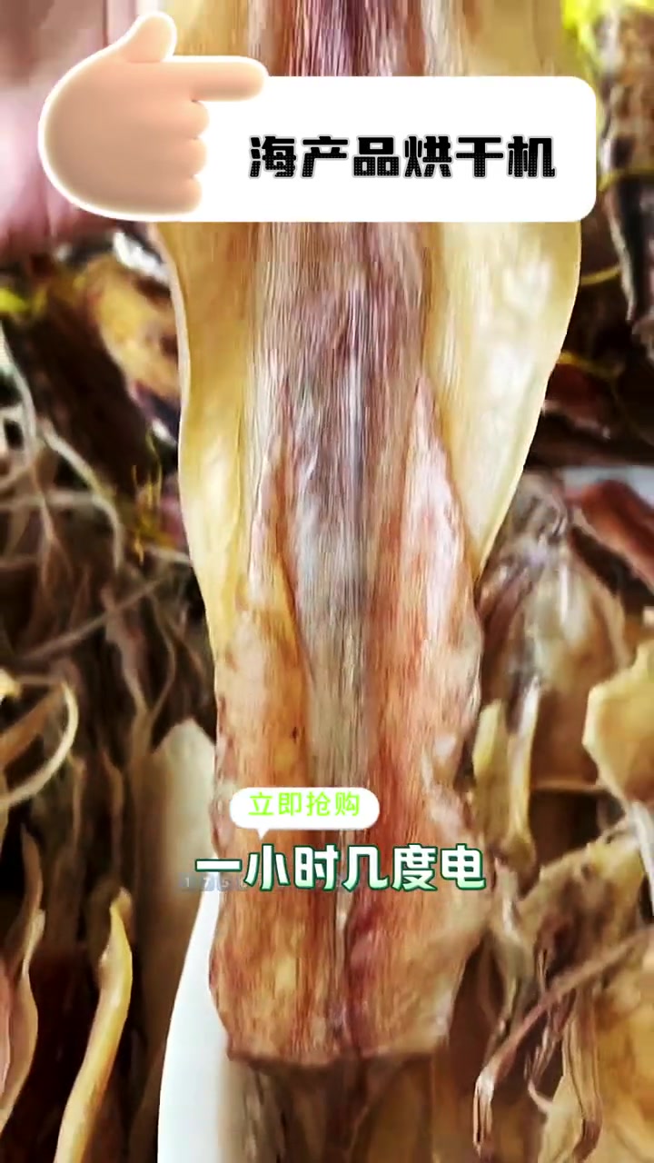 海鱼烘干机 海鲜烘干机 海产品烘干 海产品烘干设备 海产品干货 海鲜烘干机来了