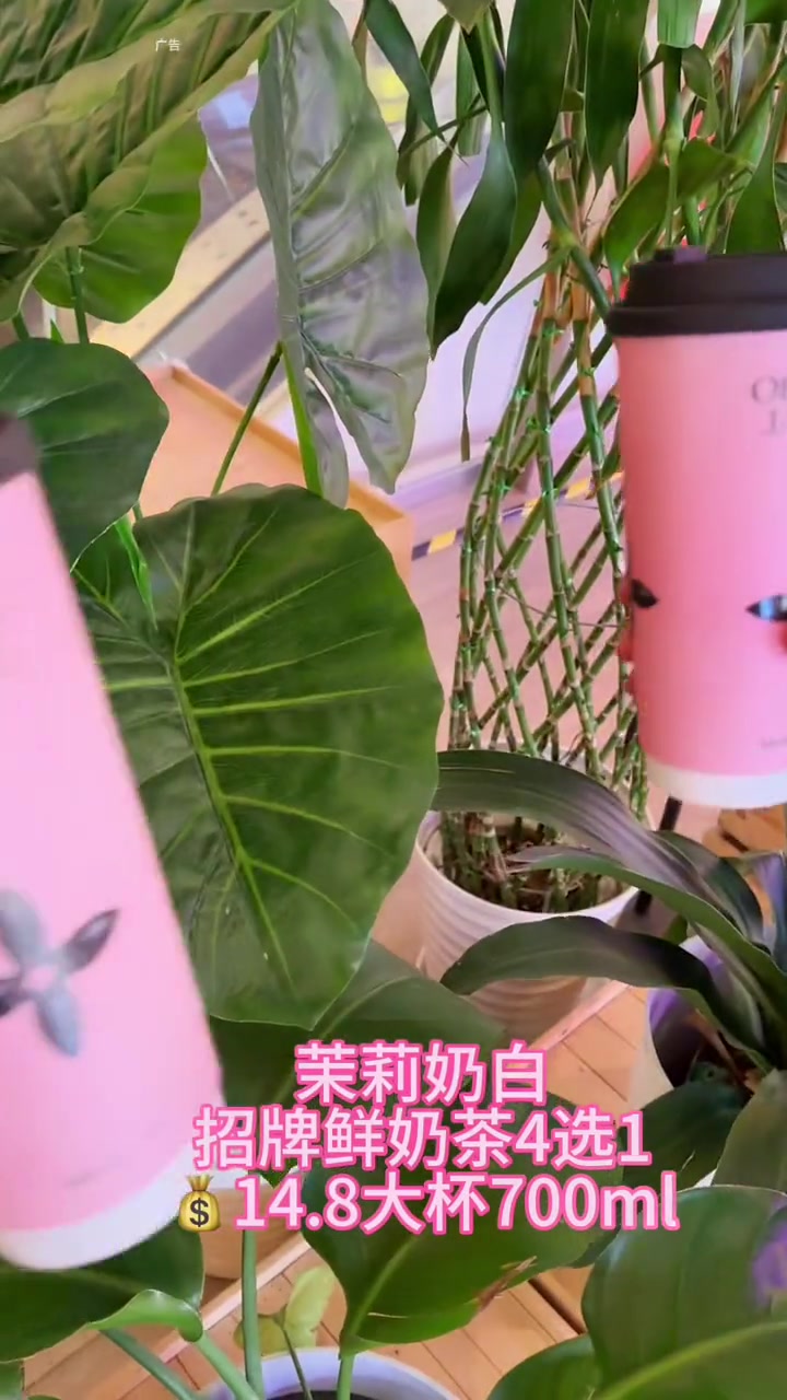茉莉奶白招牌鲜奶茶4选1,大杯700ml只需14块8,平时舍不得喝的,现在可以多囤几张了,